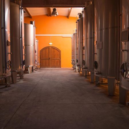 Tranca Da Barriga - Casa Do Vinho By Quinta De Sao Tiago Βίλα Covilhã Εξωτερικό φωτογραφία