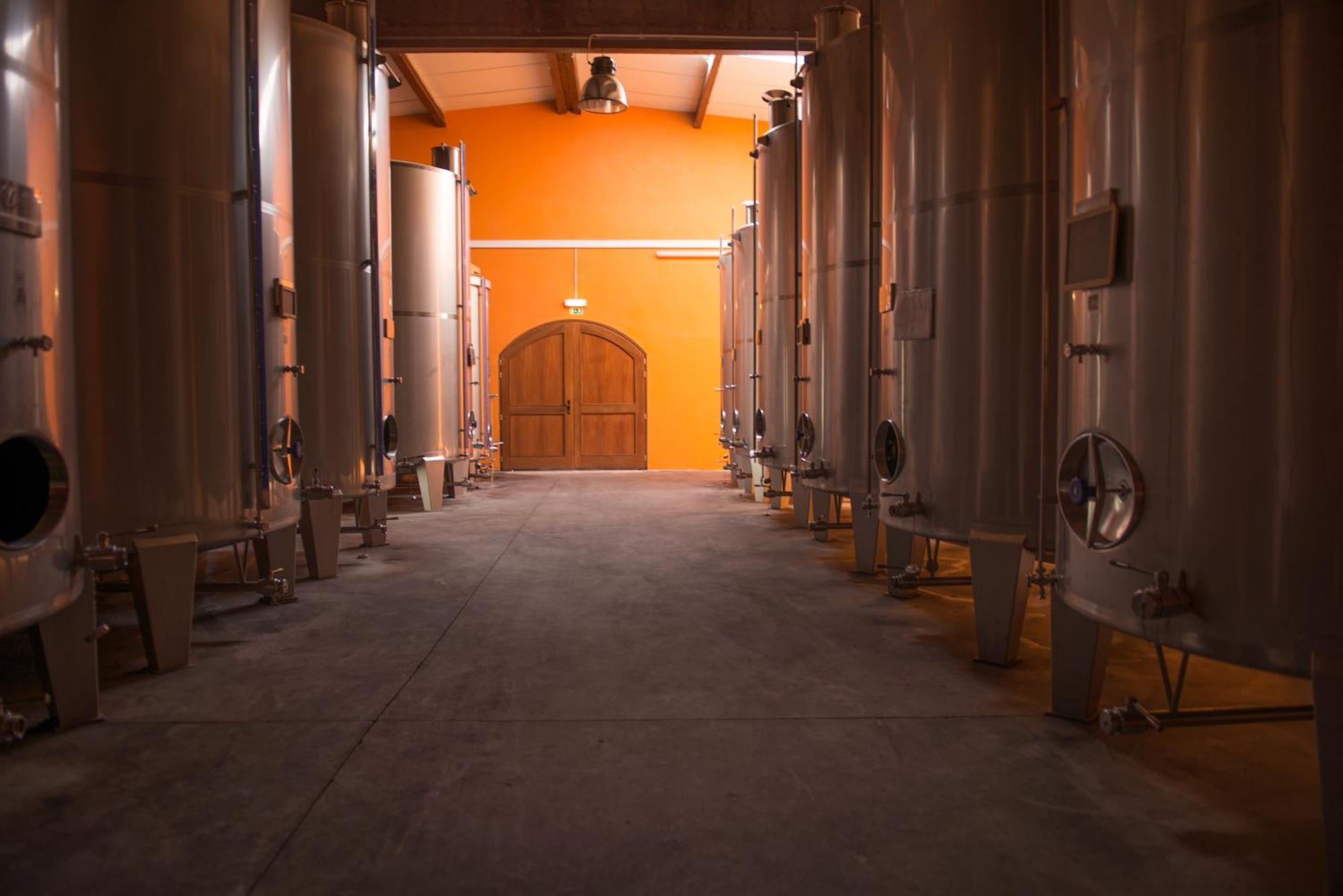Tranca Da Barriga - Casa Do Vinho By Quinta De Sao Tiago Βίλα Covilhã Εξωτερικό φωτογραφία